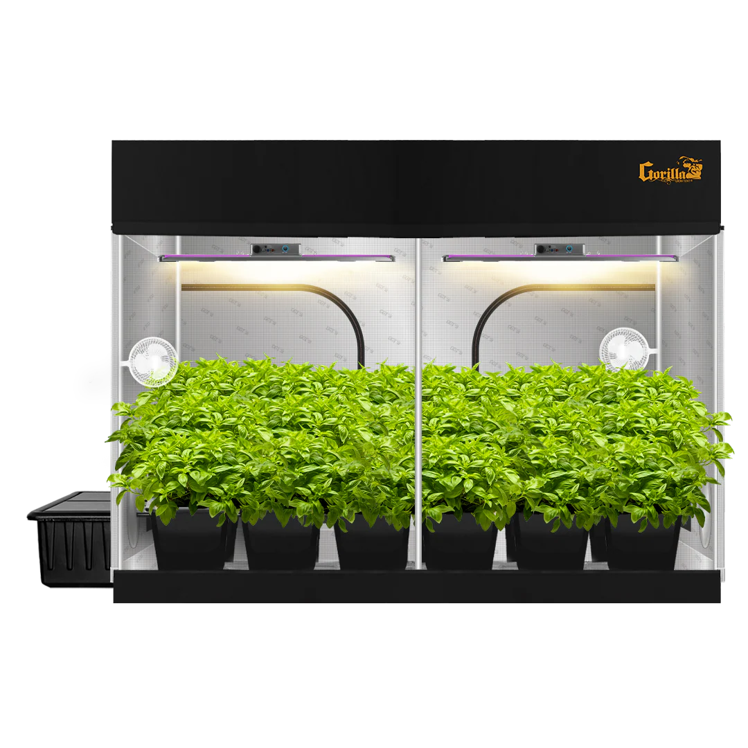 Essential Equipment for Hydroponic Gardening Success: The Complete Guide