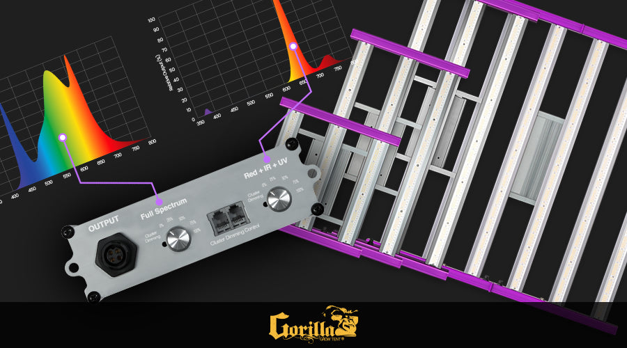 The Advantages of LED Lighting for Plants to Grow