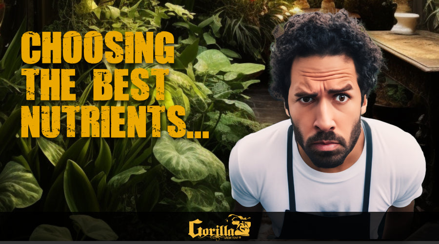 Nourishing Success: Choosing the Best Nutrients for Your Indoor Grow Tent