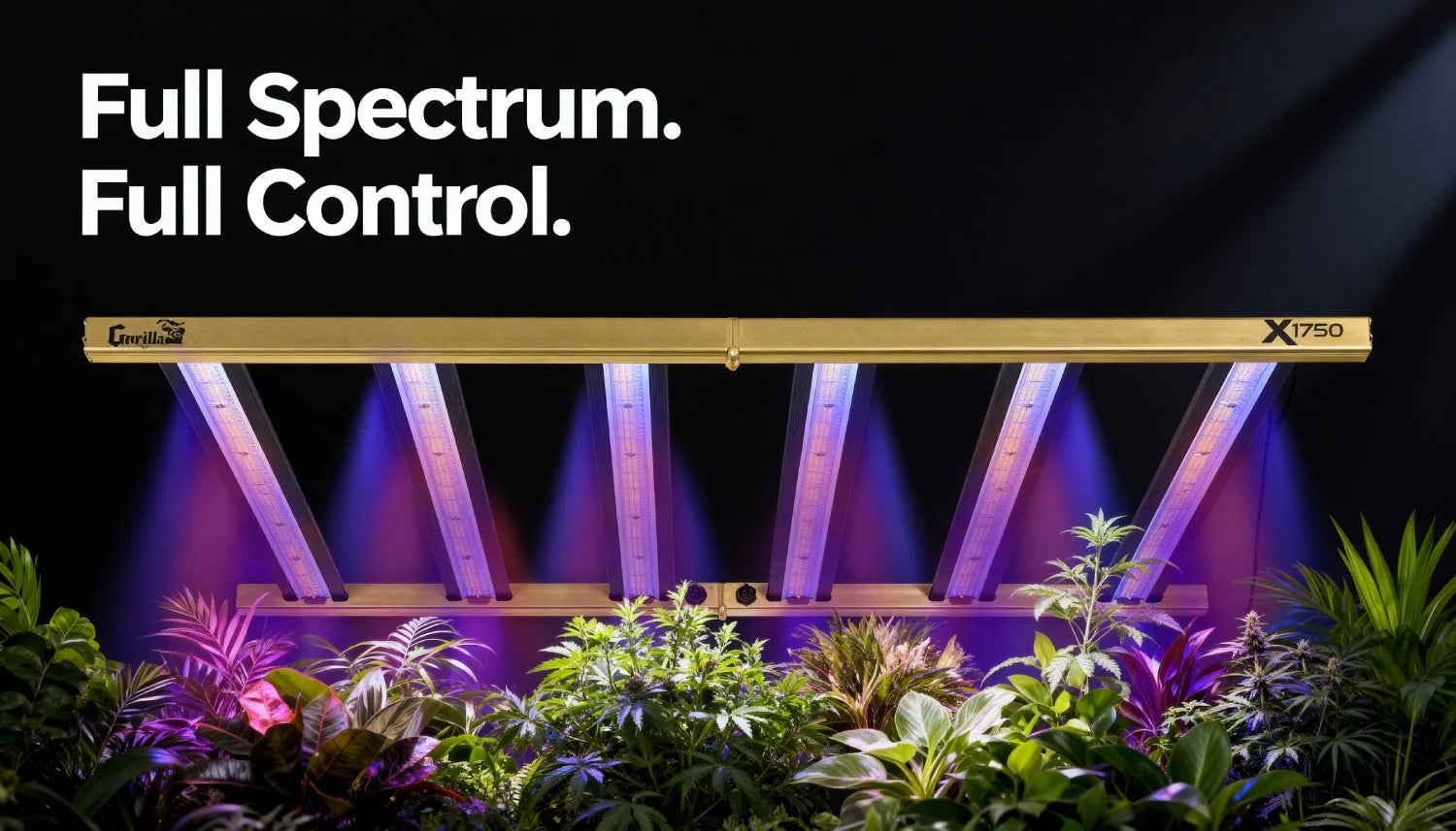 best rated led grow lights