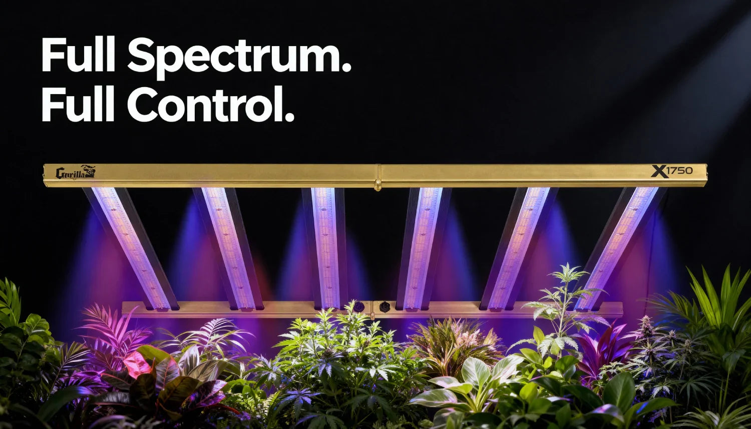 Most Efficient LED Grow Lights: Ultimate 2025 Buyer's Guide