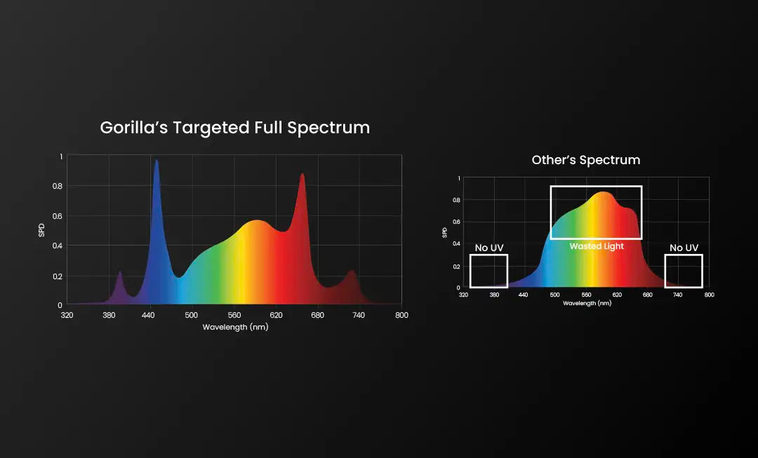 Complete Guide to LED Full Spectrum Grow Lights for Indoor Gardening Success