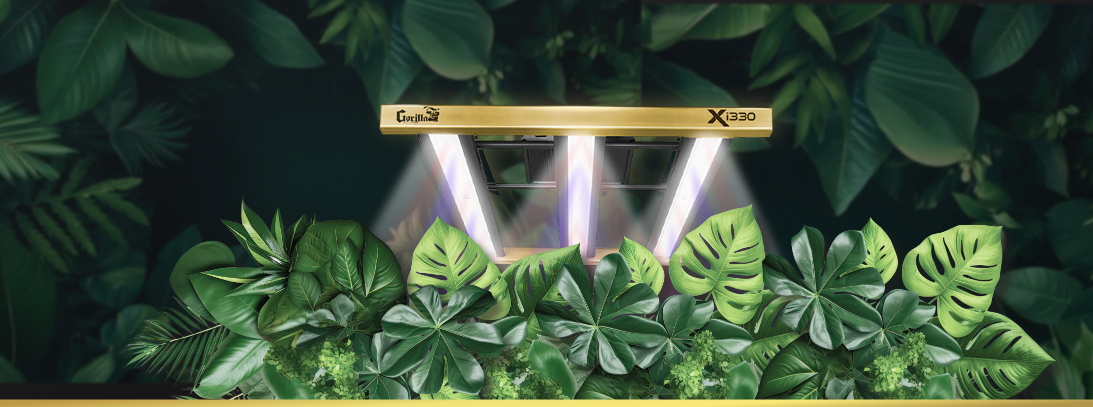 LED Grow Light Distance Chart: Optimal Height for Each Growth Stage