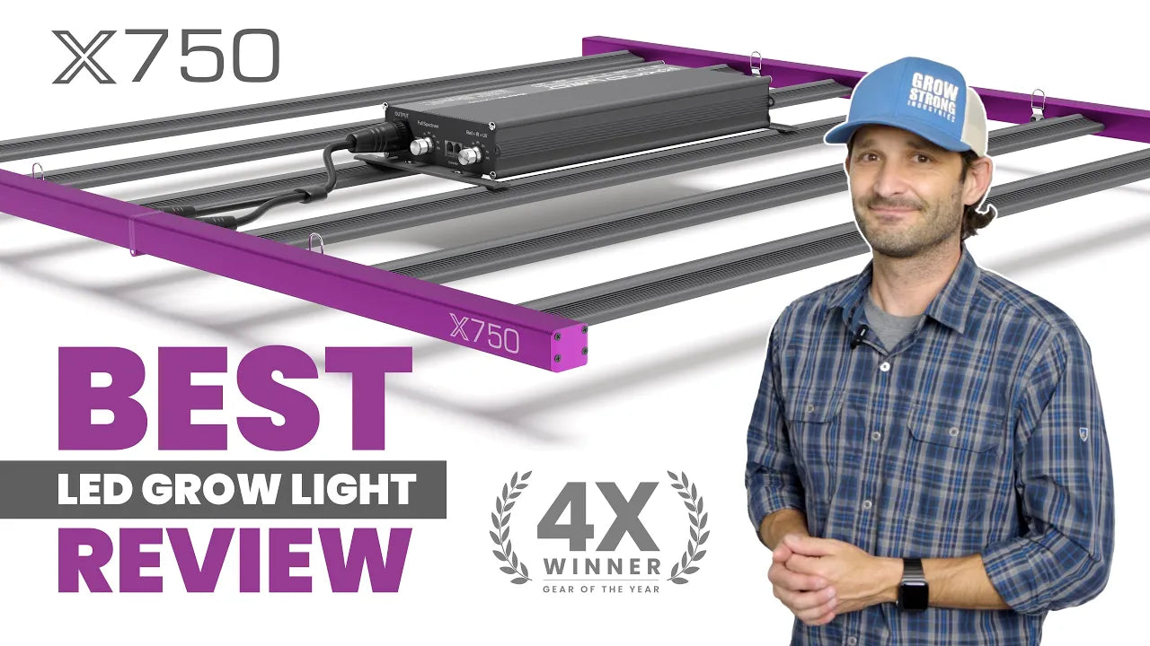 Grow Tent with Lights: How to Set Up Your Indoor Garden for Success