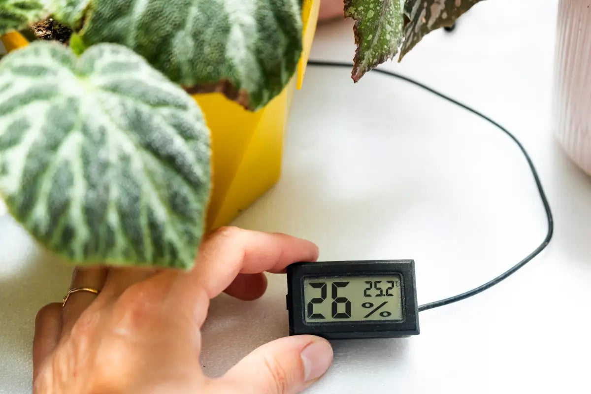How to Lower Humidity in a Grow Tent: The Ultimate Guide