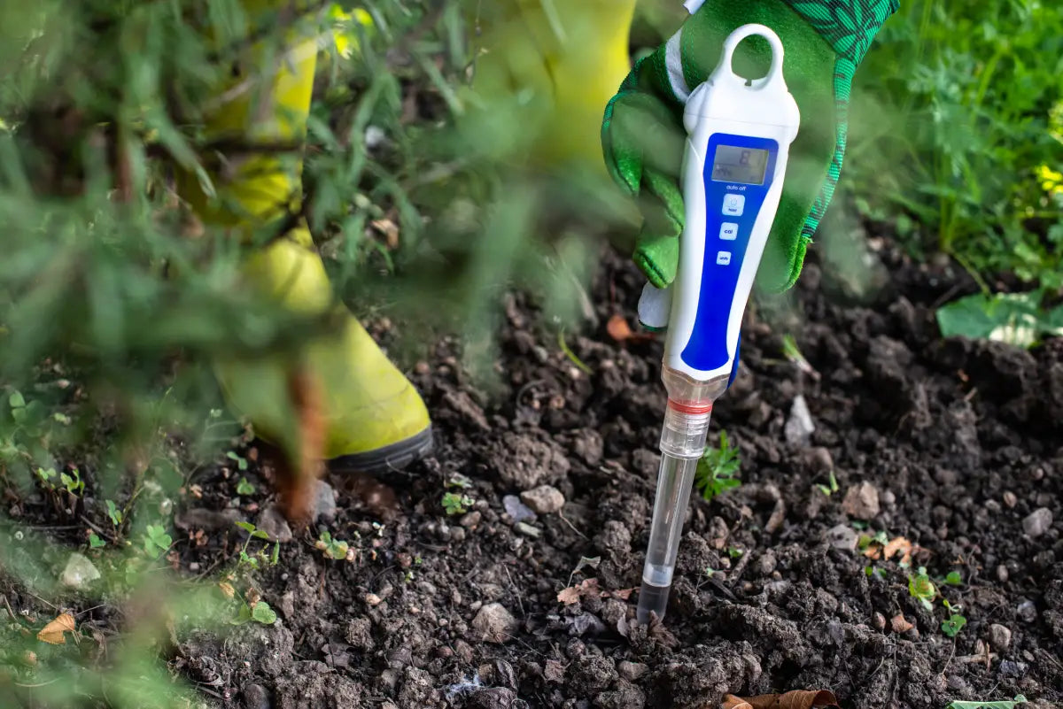 How to Raise pH in Soil Fast - Quick & Effective Methods
