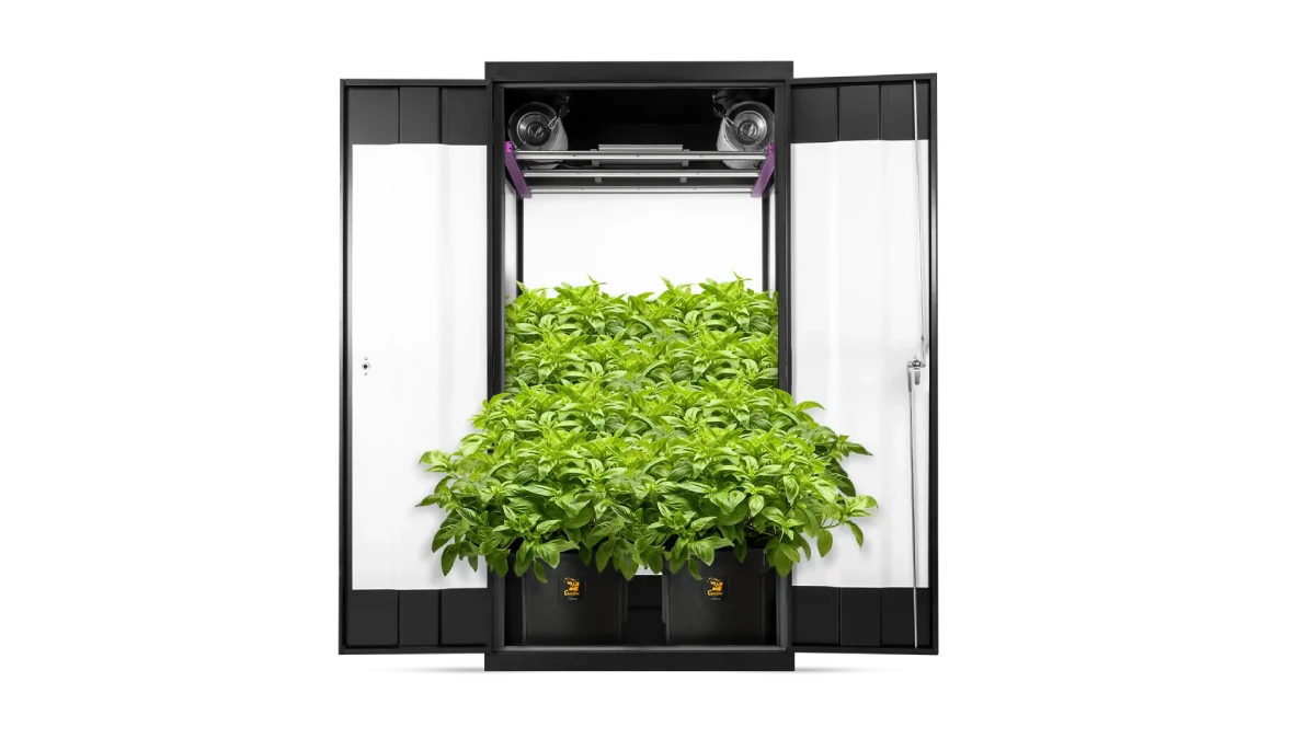 Indoor Gardening Made Easy: A Step-by-Step Guide for Beginners