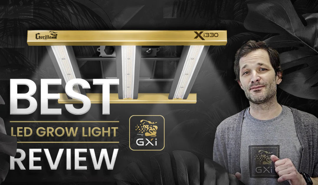 recommended led grow light