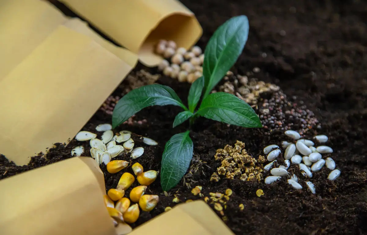 What Nutrients Do Pot Plants Need?