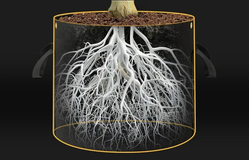 Grow Plants in Bags: Flexible and Space-Saving Gardening