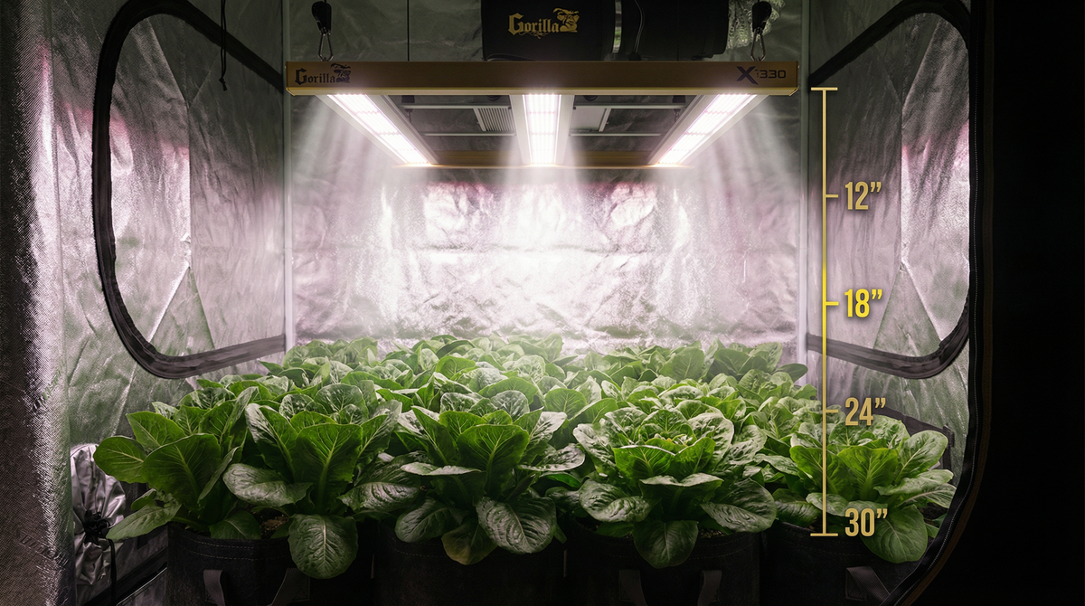 Grow Light Distance Chart LED Perfect Heights for Maximum Plant Growth