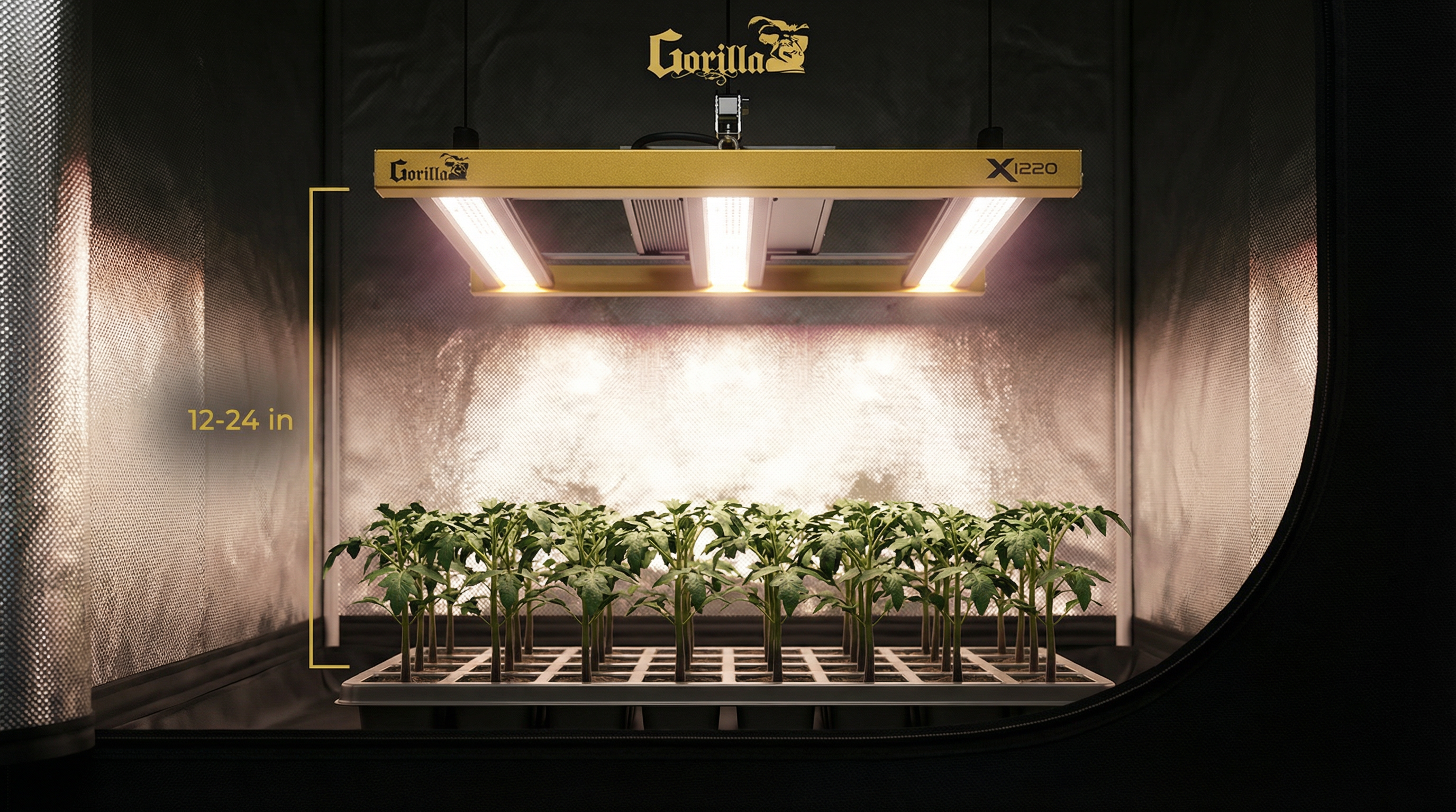 Gorilla Xi220 full-spectrum LED hanging over healthy stocky seedlings inside a grow tent