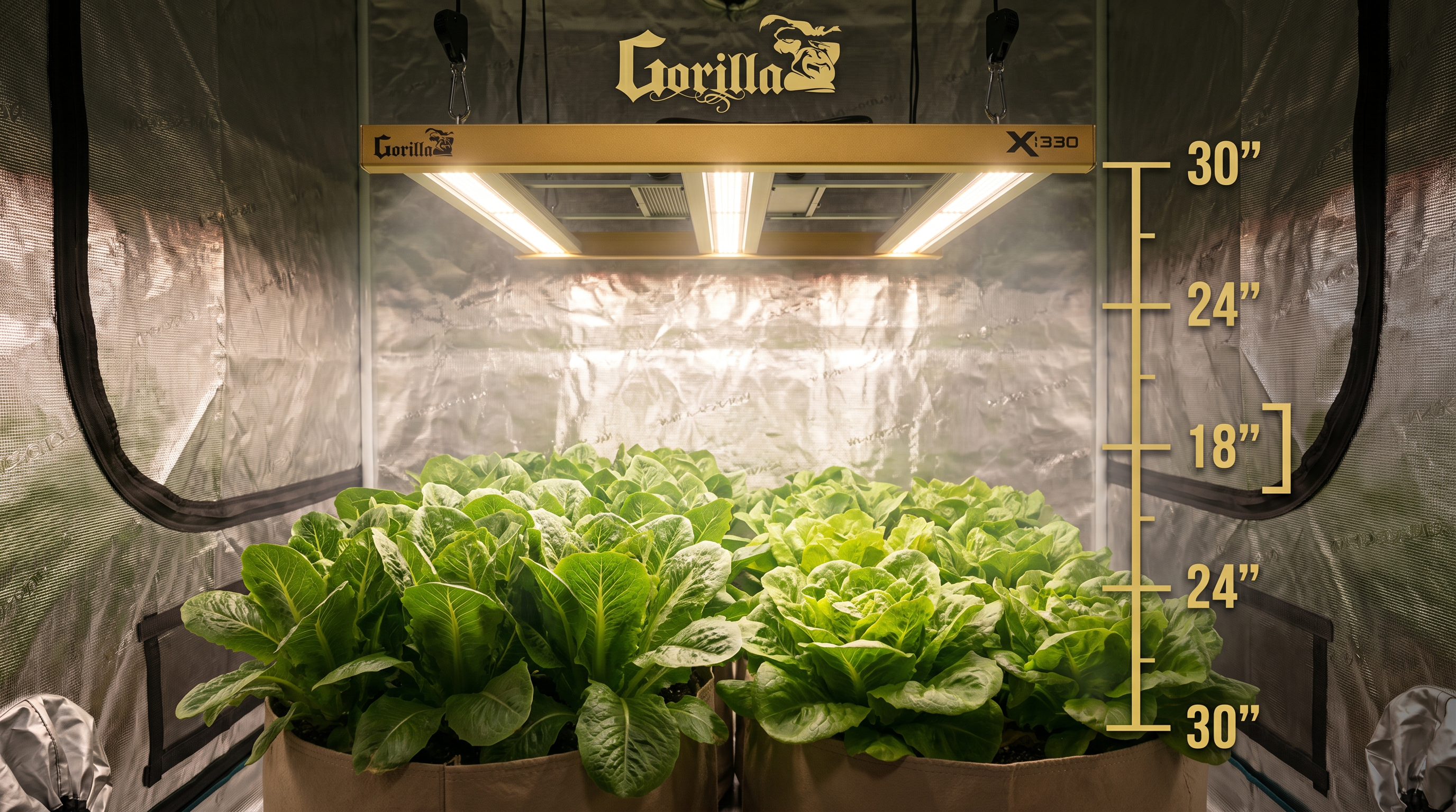 Gorilla Xi330 LED above romaine lettuce with gold measurement markings showing 12-30 inch hang heights