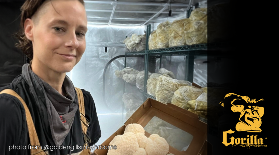 How Long Does It Take for Mushrooms to Grow?