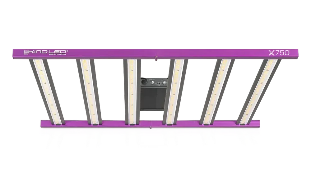 How Long to Leave Grow Lights On?