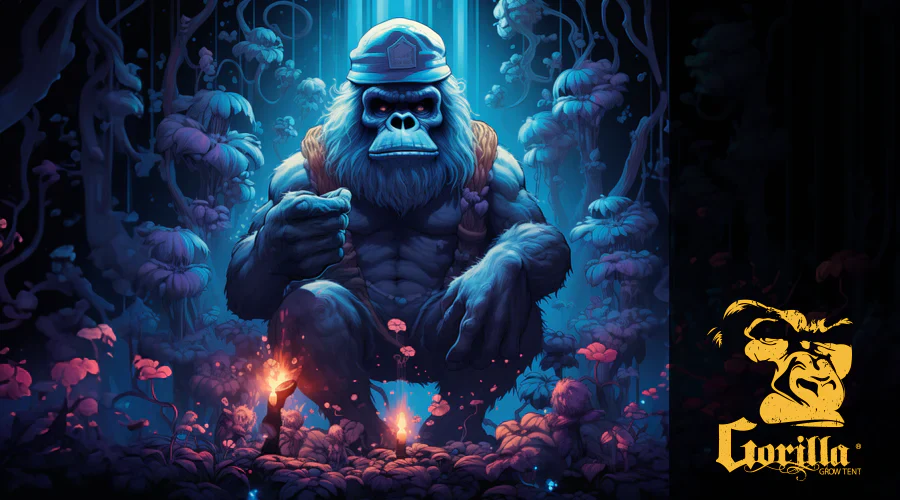 How to Grow Magic Mushrooms