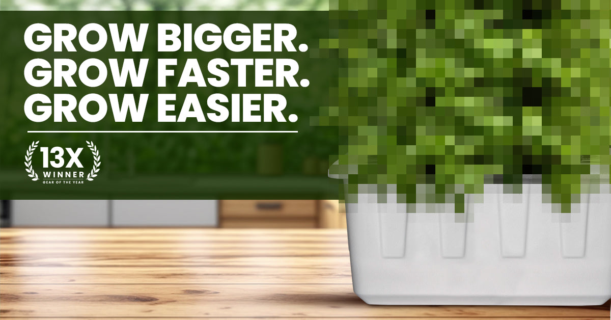 A high-performance SuperPonics hydroponic cloner setup with vibrant green plant cuttings developing healthy roots in a clean, oxygen-rich environment.