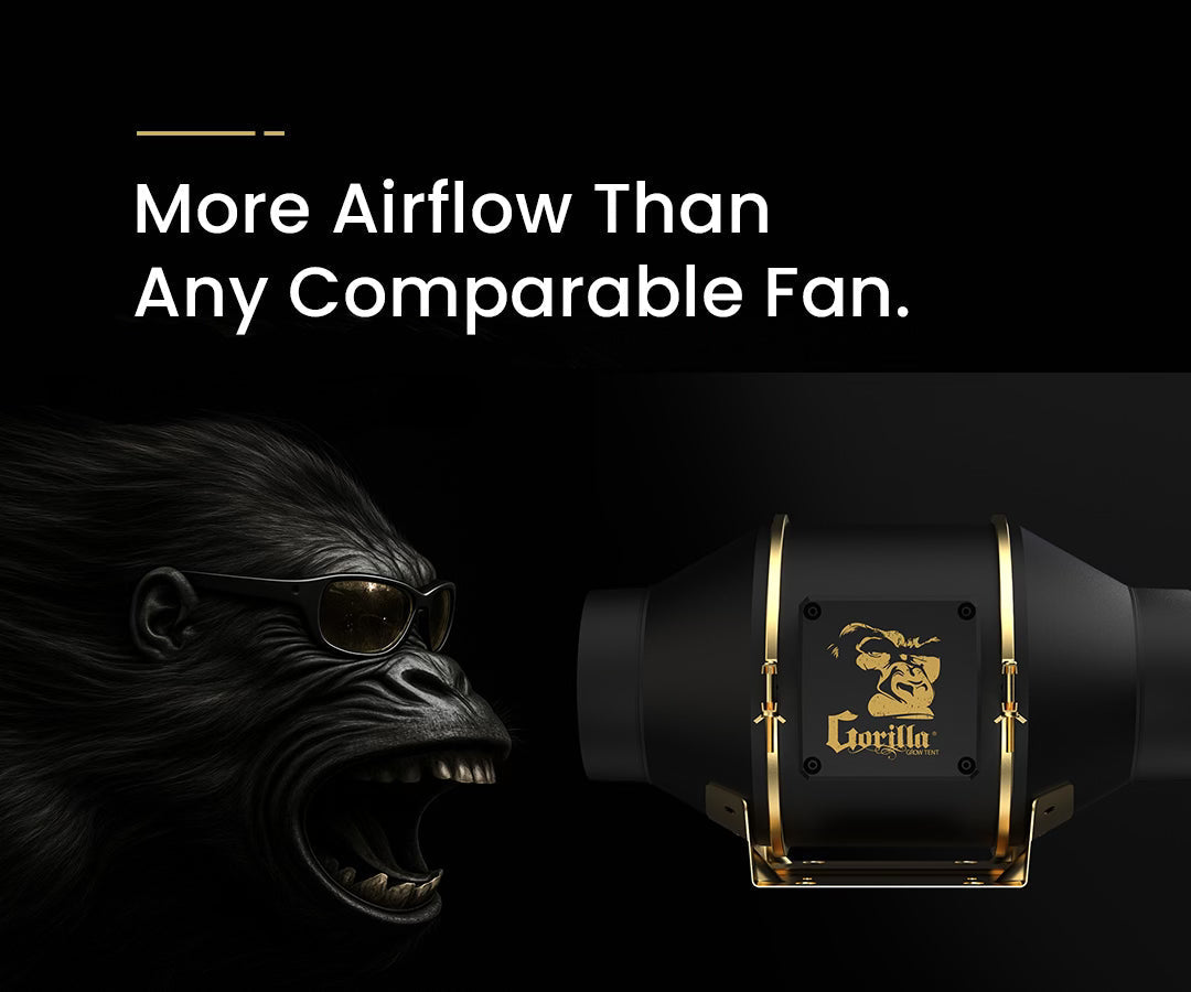 Inline fan for 3x3 grow tent setup with carbon filter and ducting for optimal airflow.