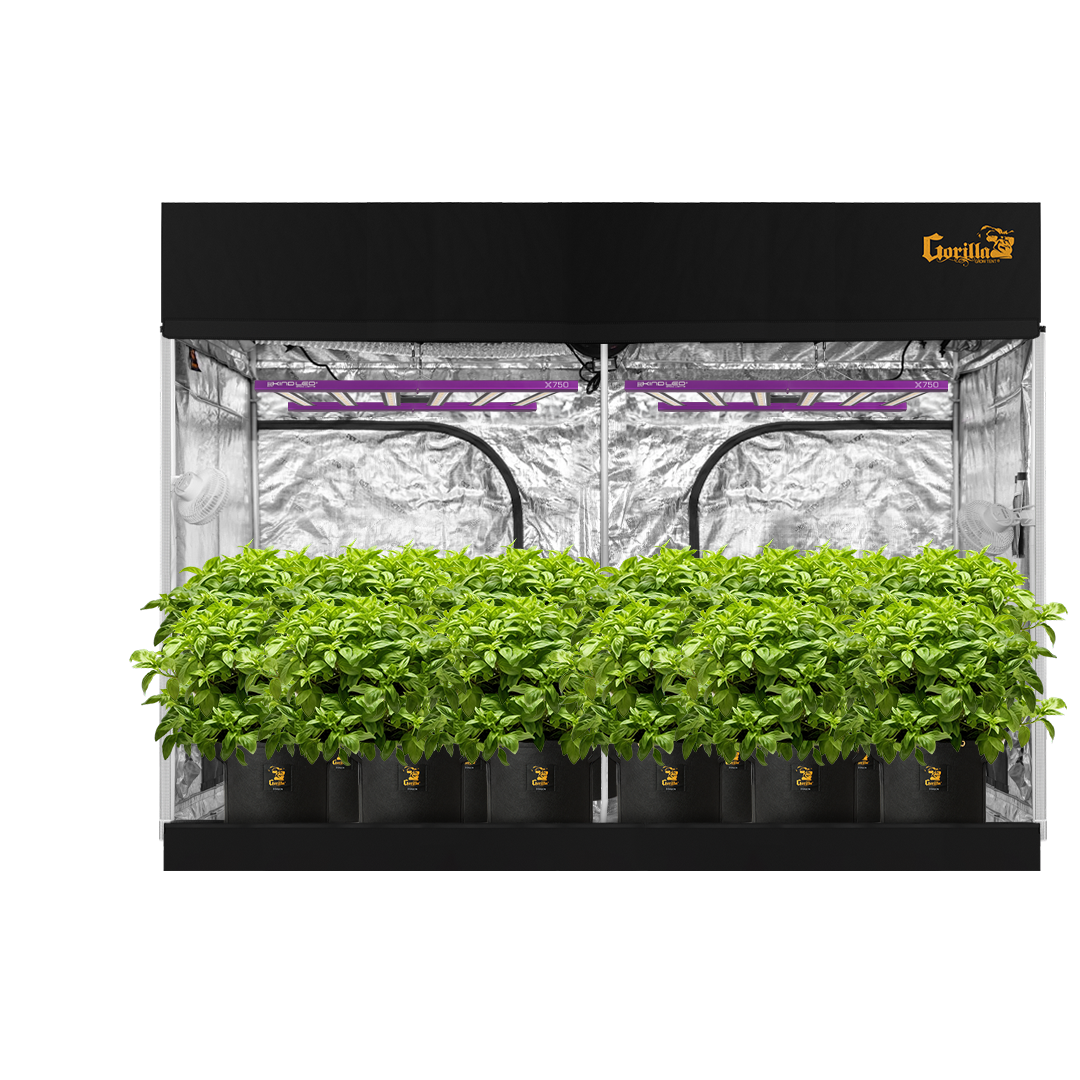 5x9 Grow Tent Kit - Soil with X750