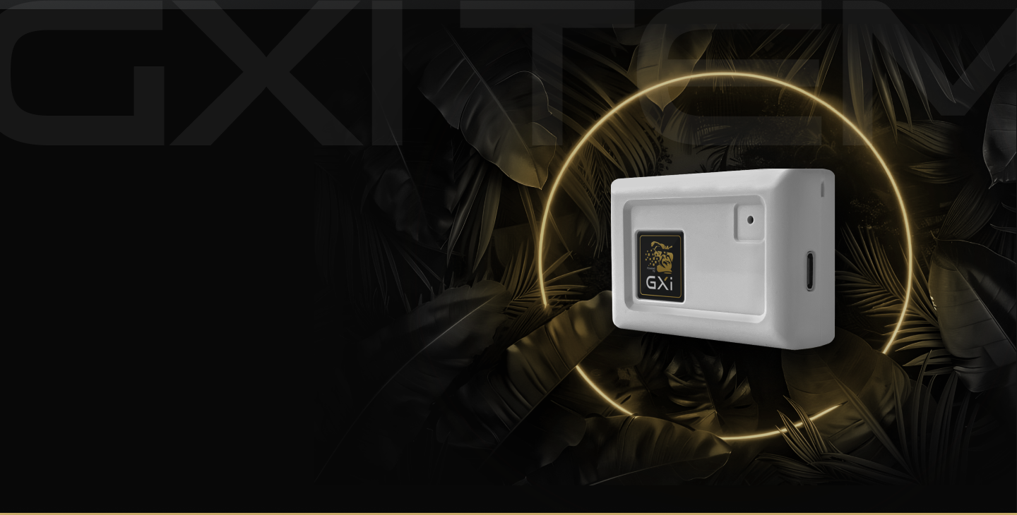 Section 1 Background