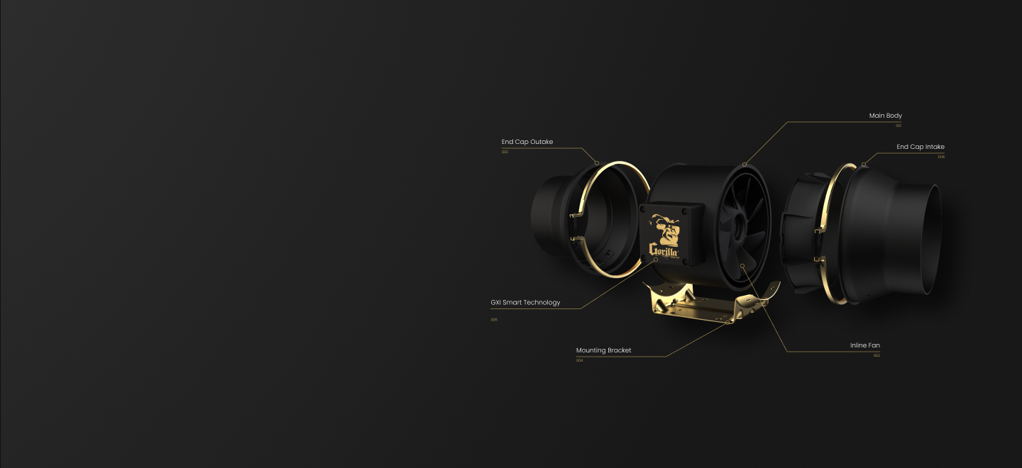 Section 8 Background