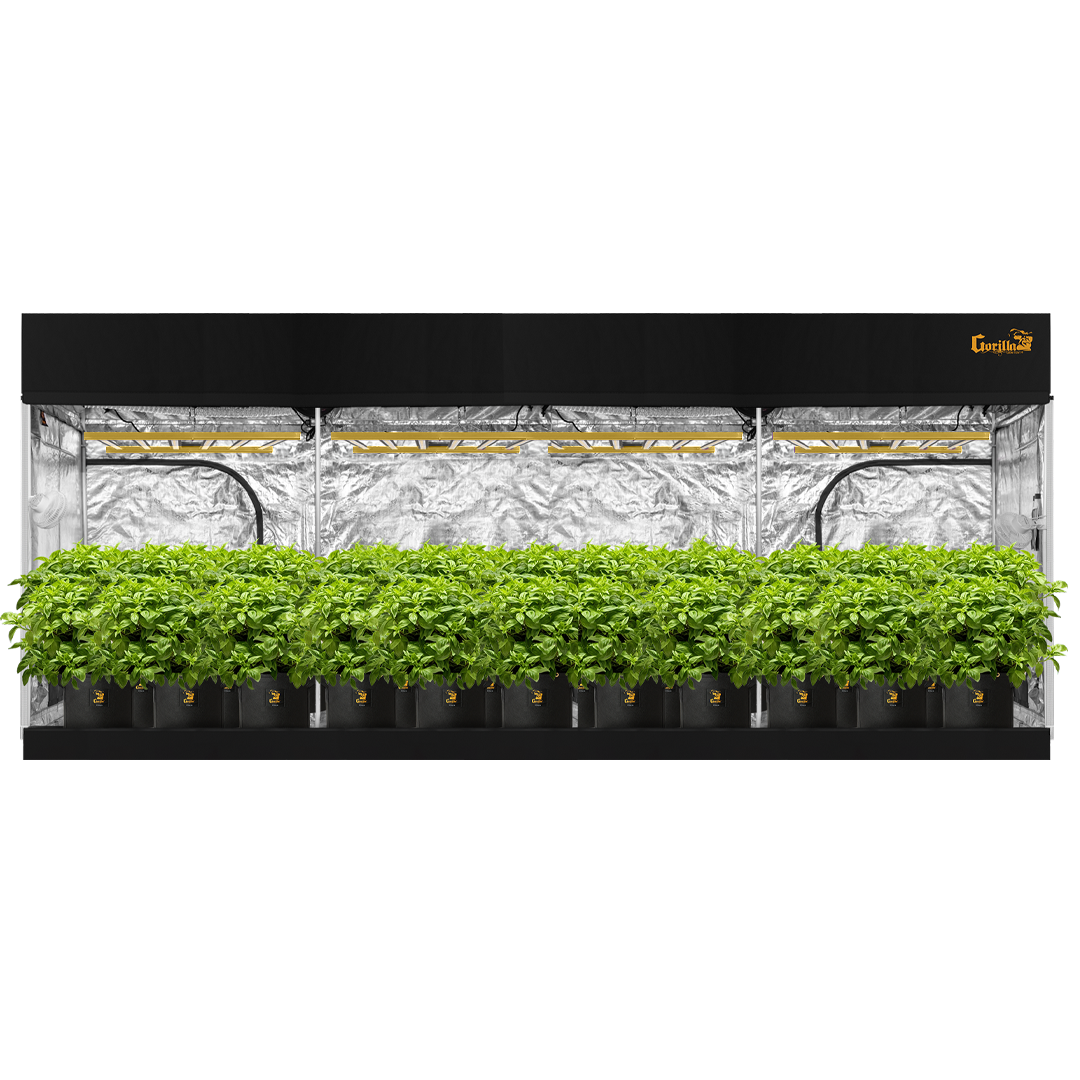 covert grow tent 10x20 Grow Tent - Gorilla Grow Tent