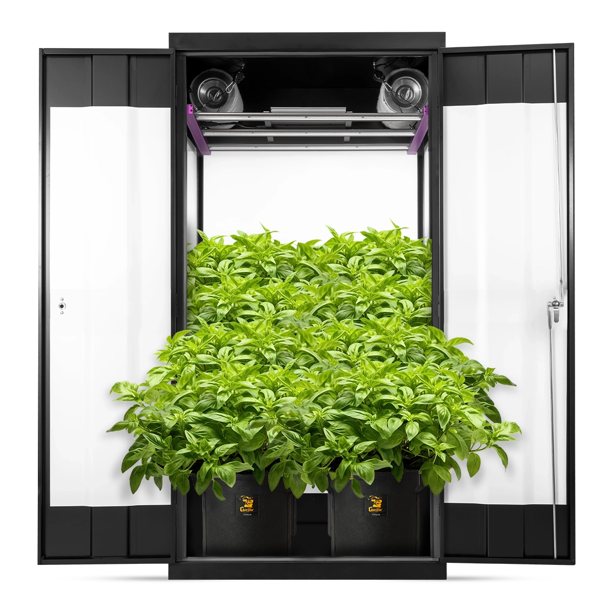 Gorilla Grow Cabinet 36” x 24” x 72” - Soil