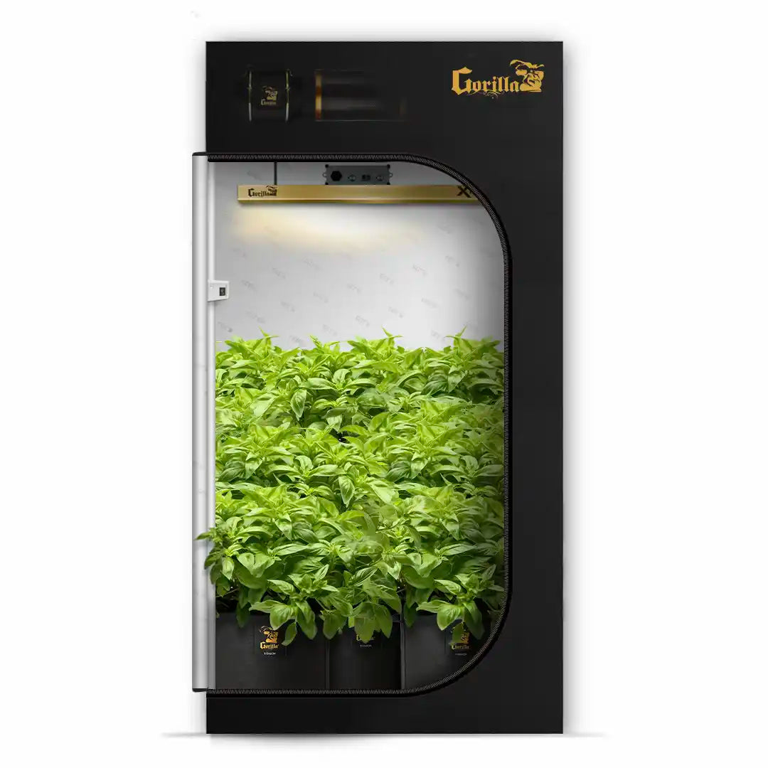 2x4 All New Grow Tent Kit - Soil