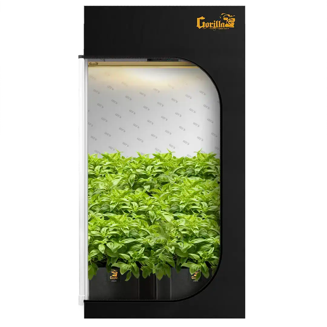 The All New Gorilla Grow Tent 2x4