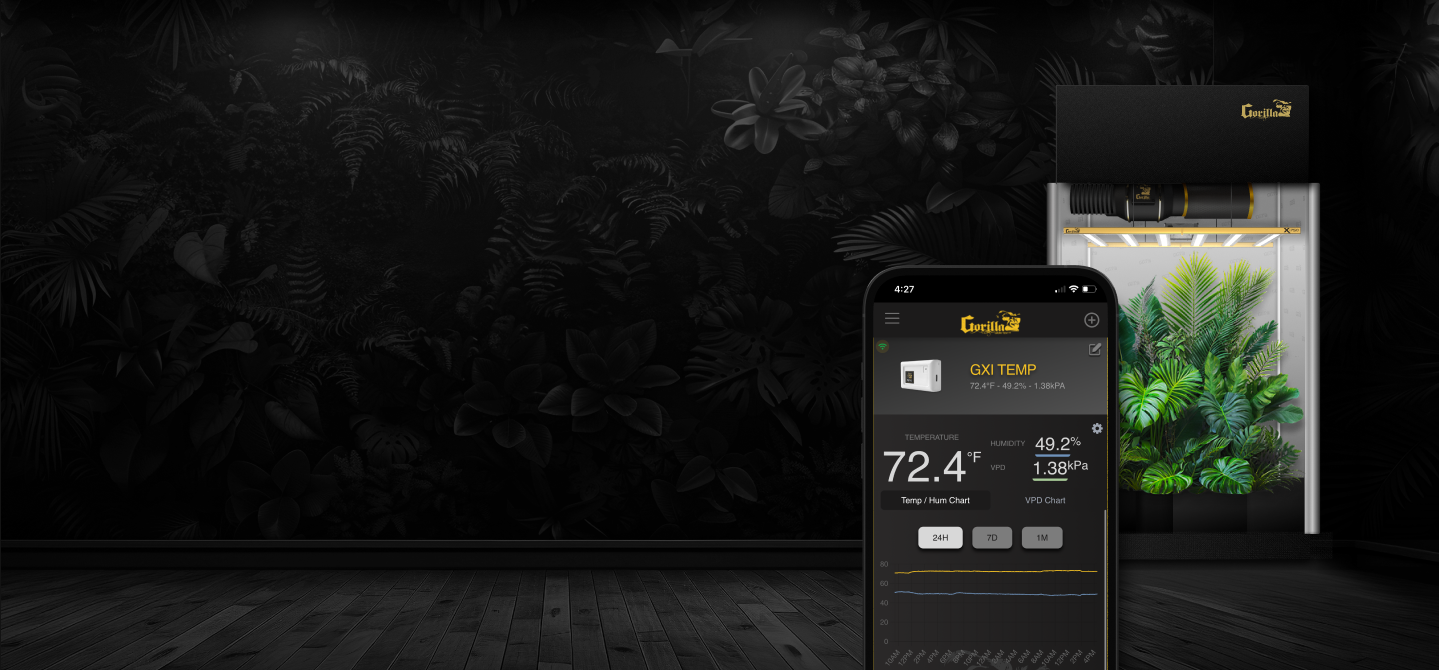 Section 3 Background