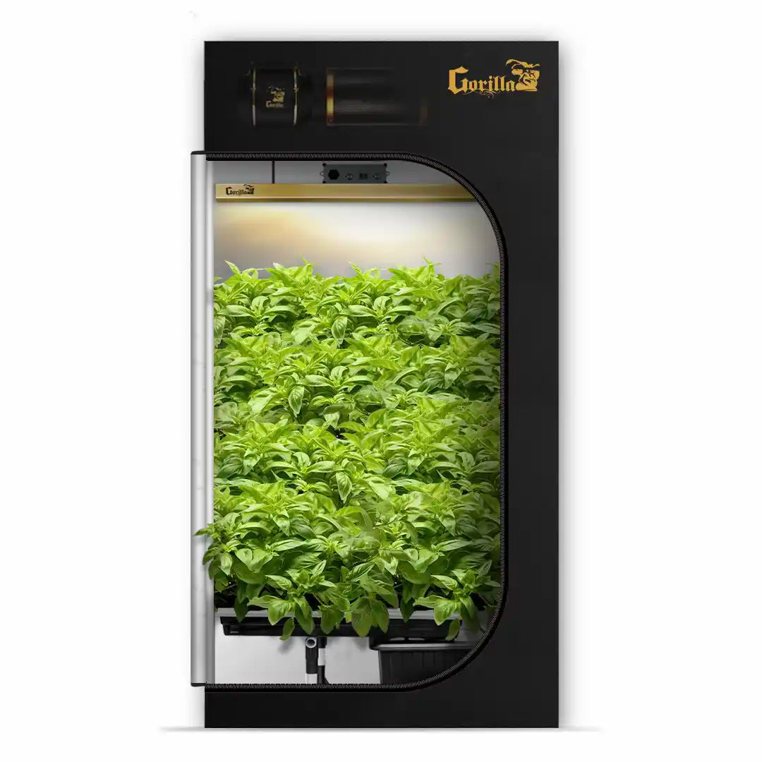 automatic grow tent 4x4 Gorilla Grow Room - HYDROPONIC