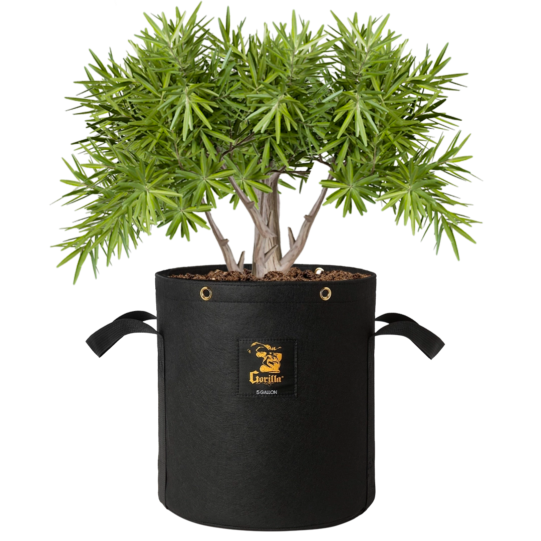 pot bags for plants Gorilla 5 Gallon Grow Bag (4 Pack)