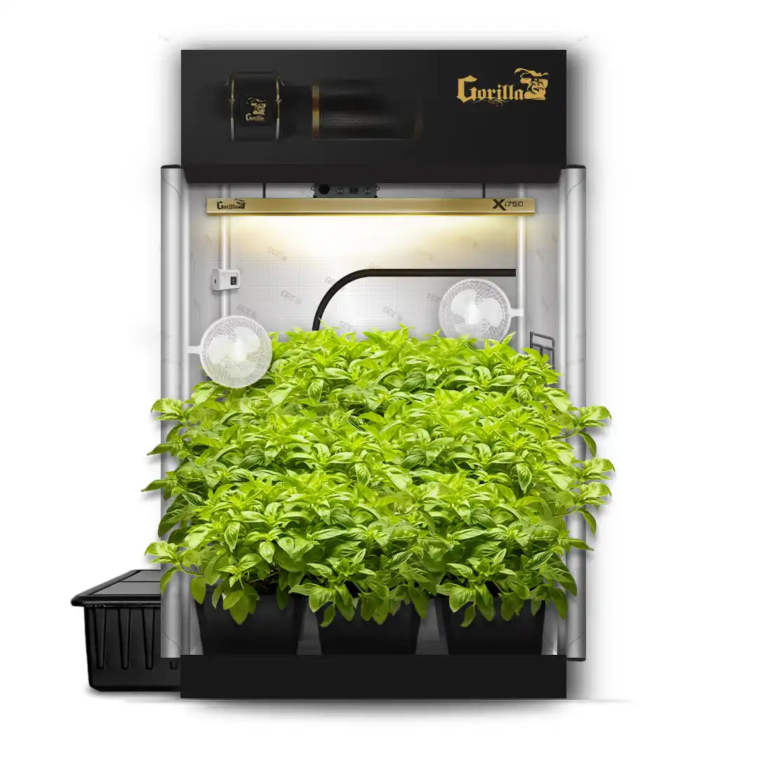 5x5 Grow Tent Kit: Maximize Your Indoor Plants