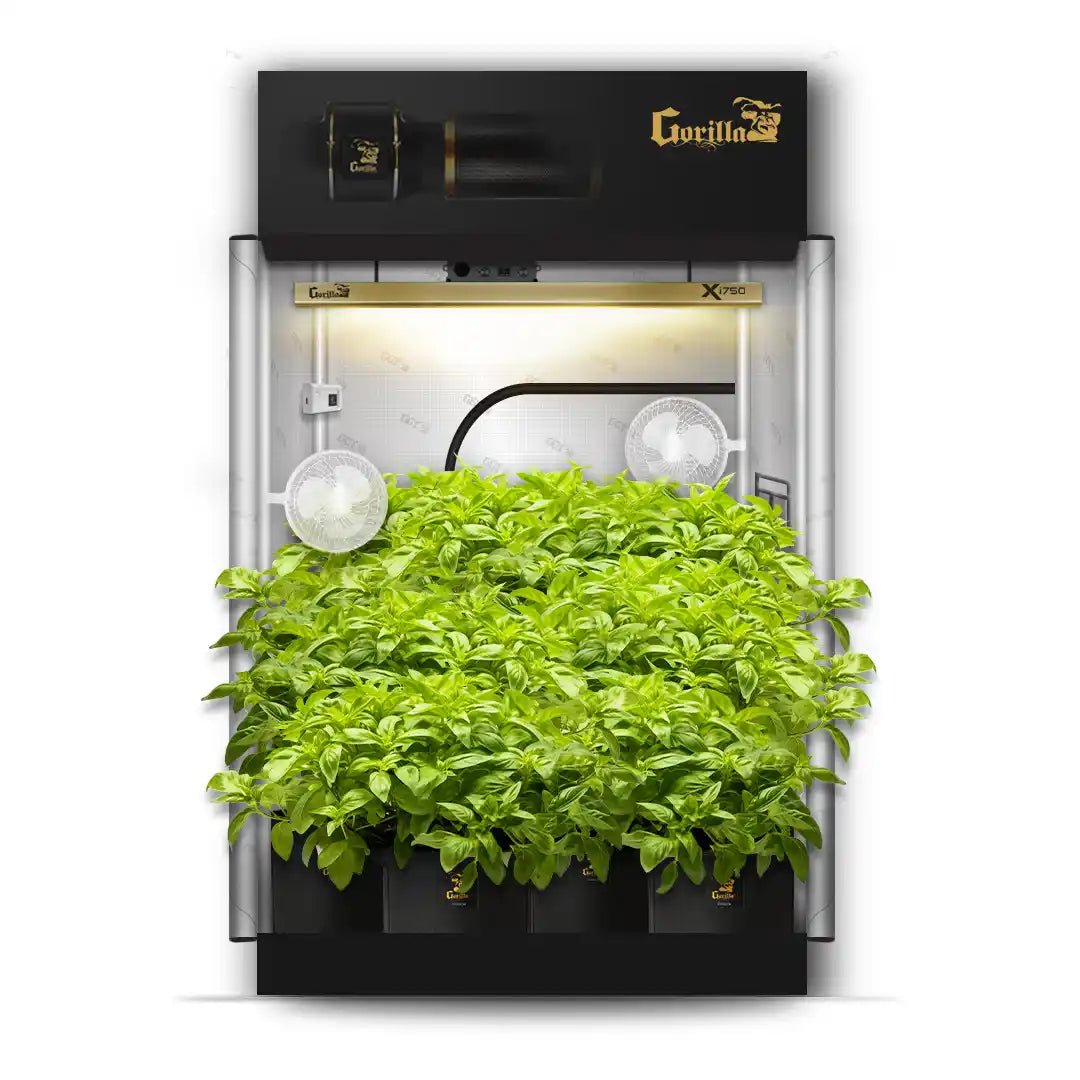 5x5 Grow Tent Kit Pro - Soil with X750