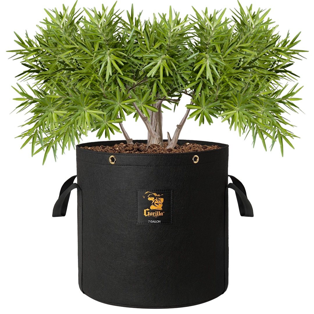 Gorilla 7 Gallon Grow Bags – Ultra-durable, breathable fabric for stronger, healthier roots.