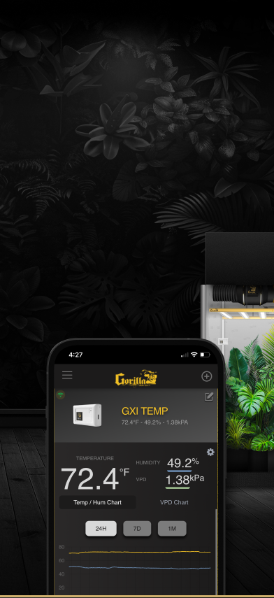 Section 3 Mobile Background