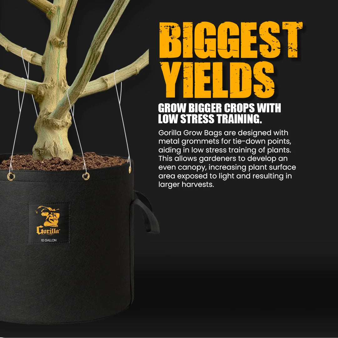 Gorilla 3 Gallon Grow Bag (4 Pack)