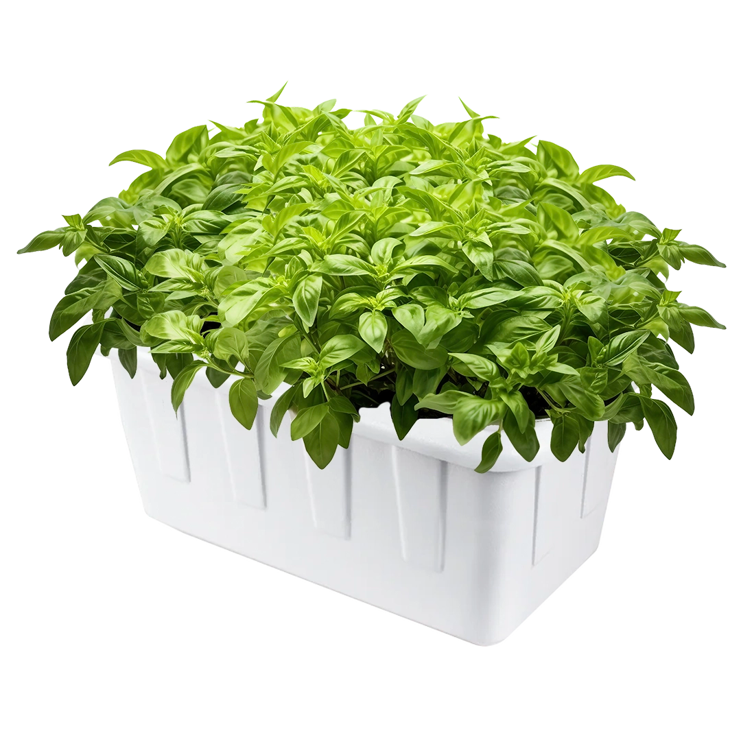 DWC Hydroponic System, SuperPonics 8 | Gorilla Grow Tent