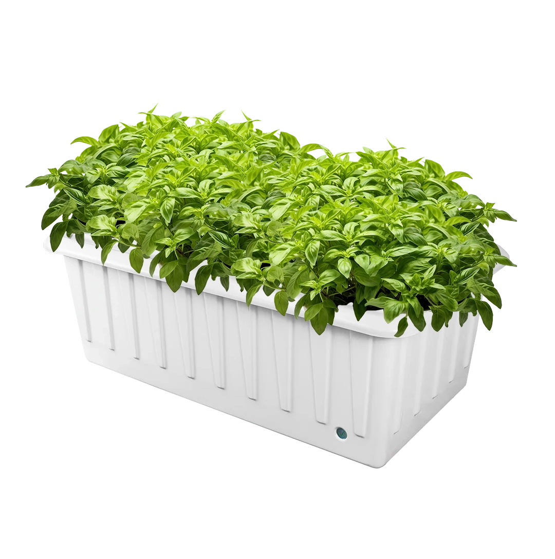 311 – Hydroponic Enlarged To Show Detail ZipGarden™ | ZipGrow Inc.
