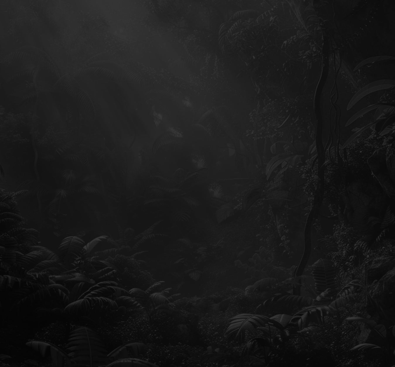 Section 9 Background