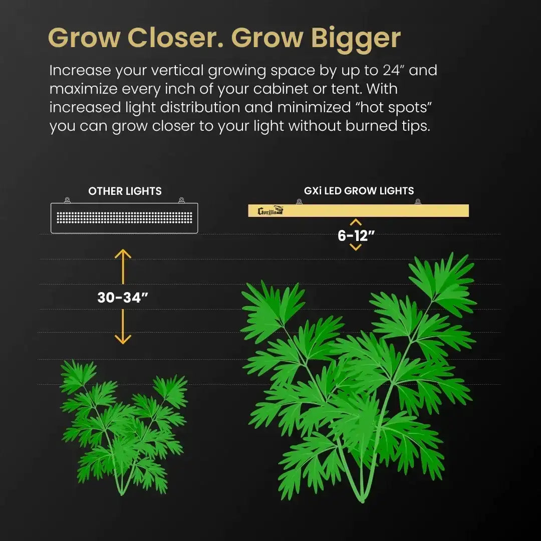 5x9 Gorilla Grow Room - Hydroponic