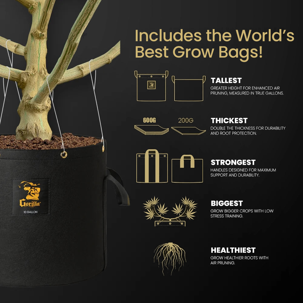 2x2.5 All New Grow Tent Kit - Soil