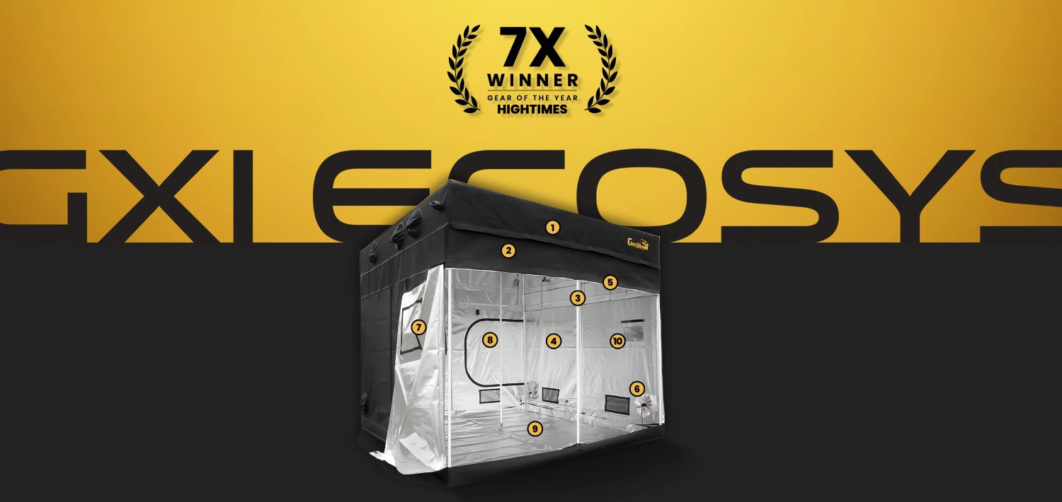 GXLE COSYS product with '7X Winner' badge on a yellow and black background