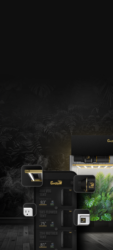 Section 1 Mobile Background