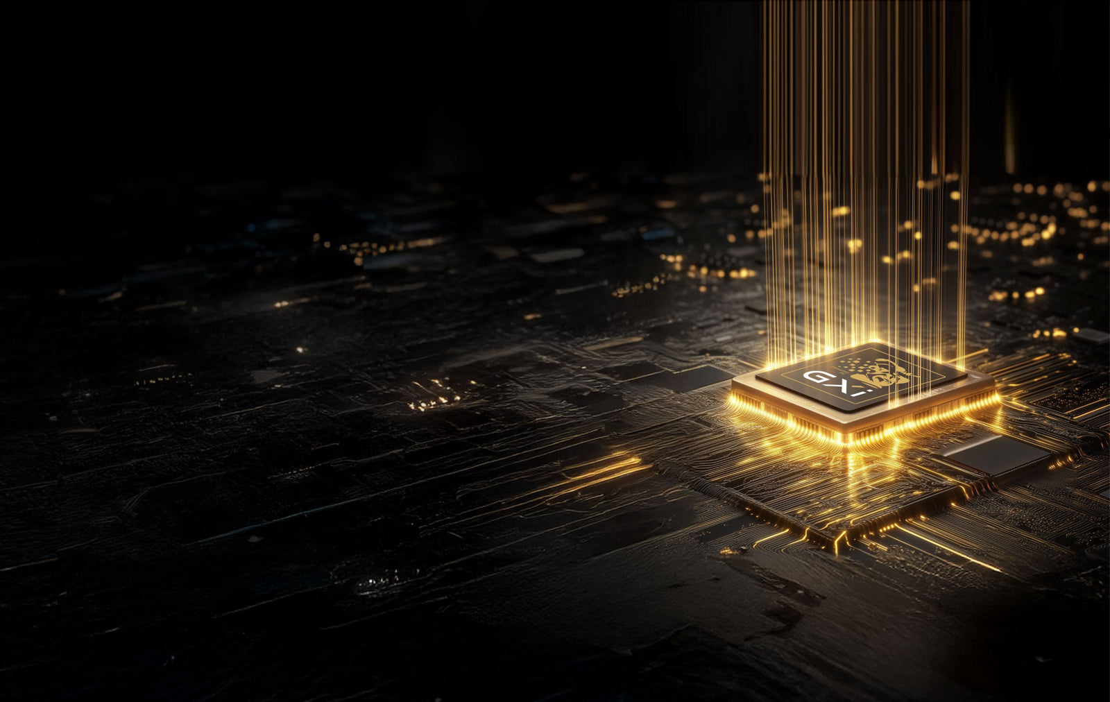 Section 5 Background