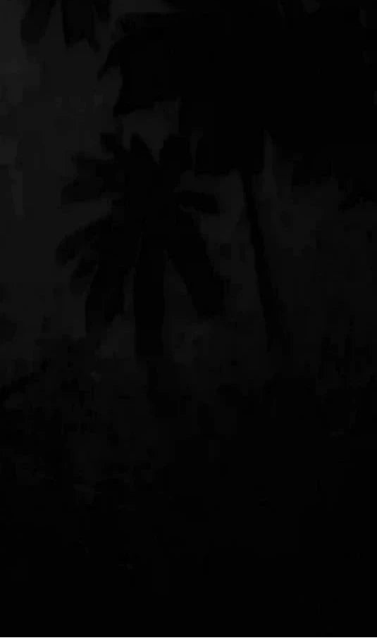 Section 3 Mobile Background