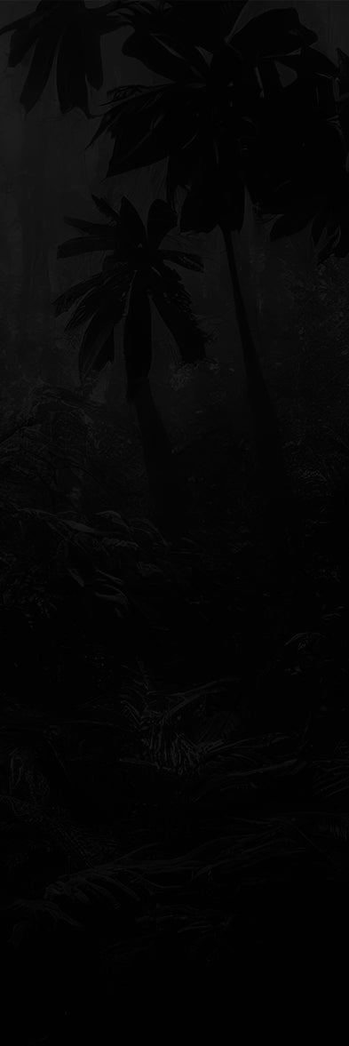 Section 9 Mobile Background