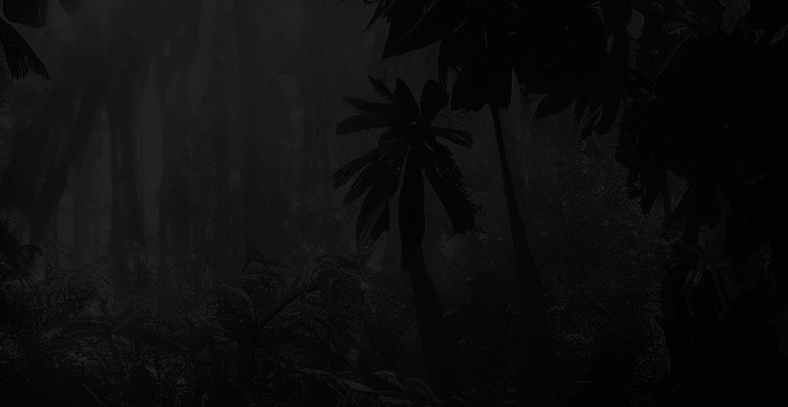Section 3 Background