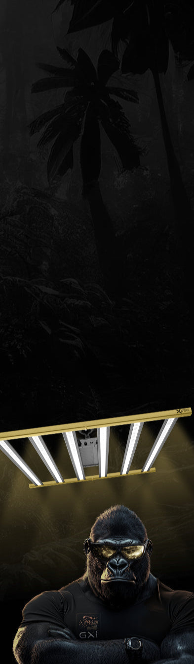 Section 7 Mobile Background