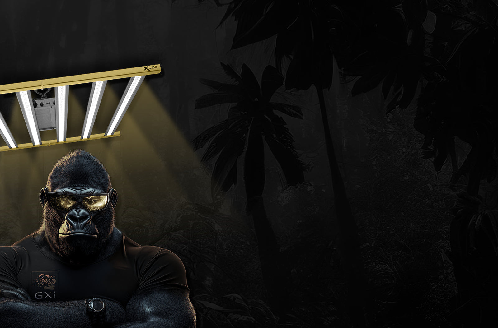 Section 7 Background
